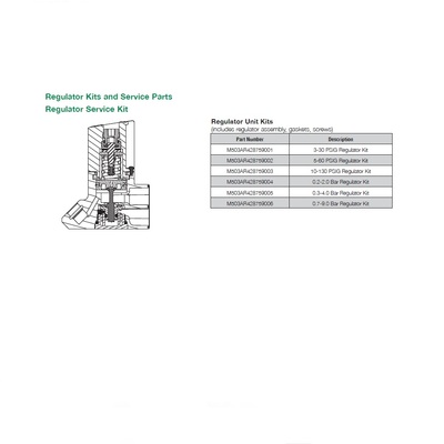 M503AR428759003 NUMATICS/AVENTICS SANDWICH REGULATOR REPAIR KIT 503 SERIES 10-130 PSI (0.7-9 BAR)